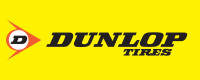 Зимние легковые шины Dunlop
