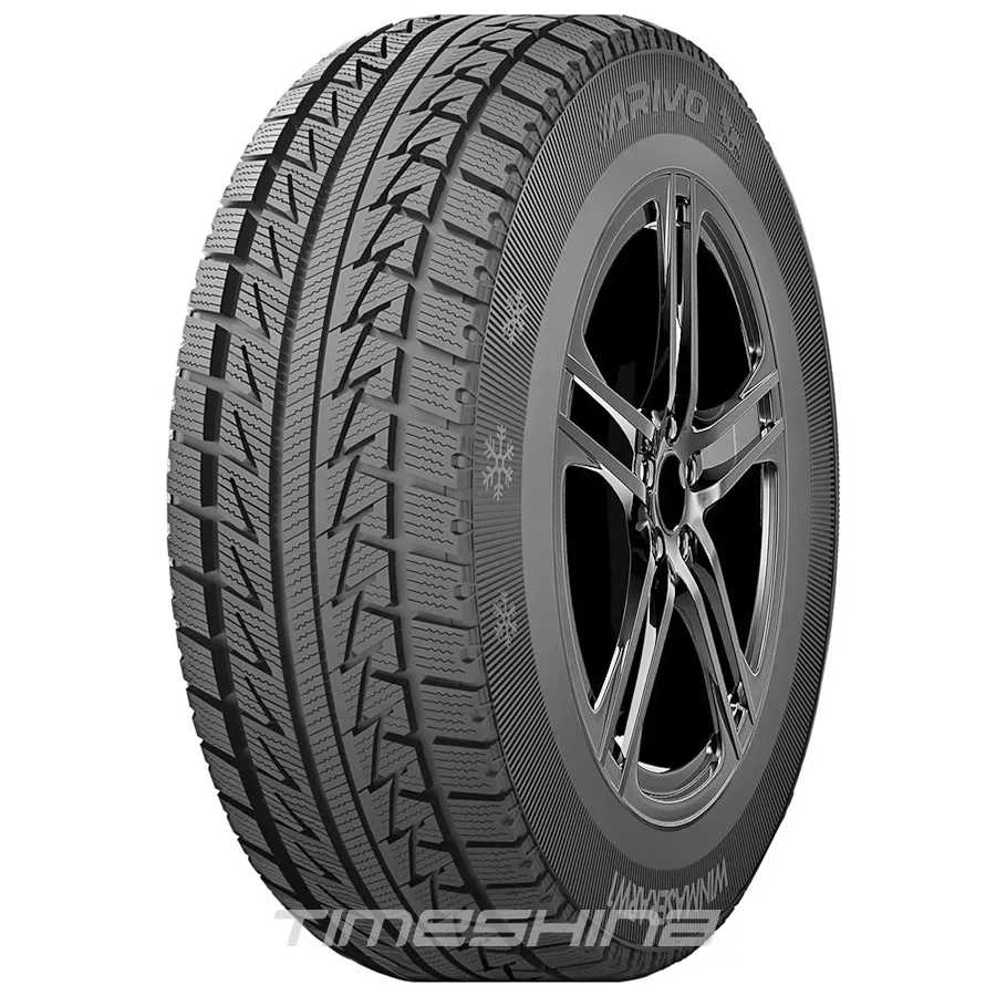 Зимние шины Arivo Winmaster ARW1