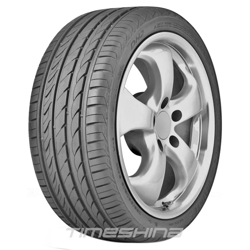 Всесезонные шины Delinte DH2