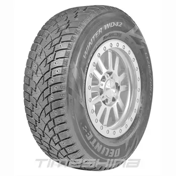 Зимние шины Delinte Winter WD42