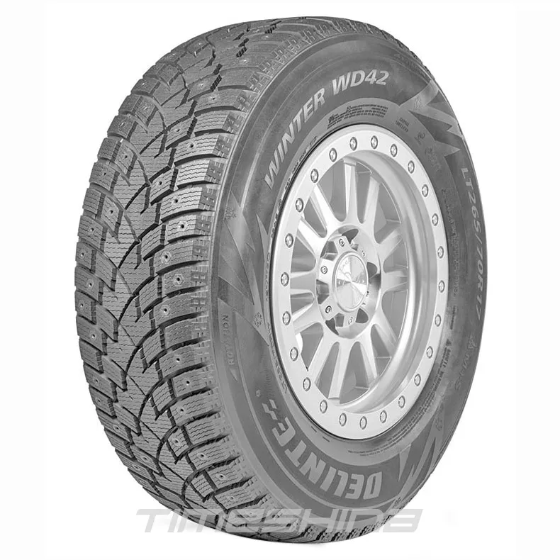Зимние шины Delinte Winter WD42