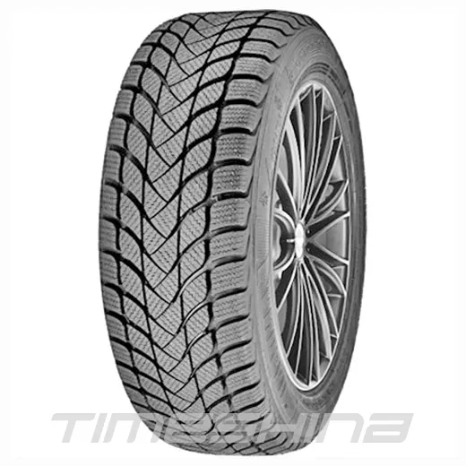 Зимние шины Delinte Winter WD6