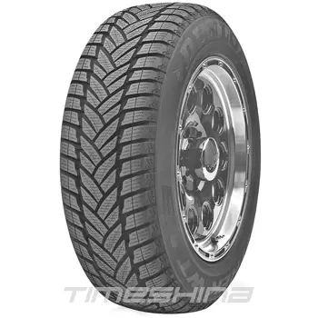 Зимние шины Dunlop Grandtrek WT M3