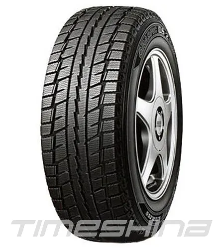 Зимние шины Dunlop Graspic DS2