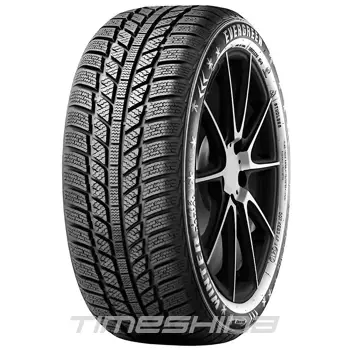 Зимние шины Evergreen EW62