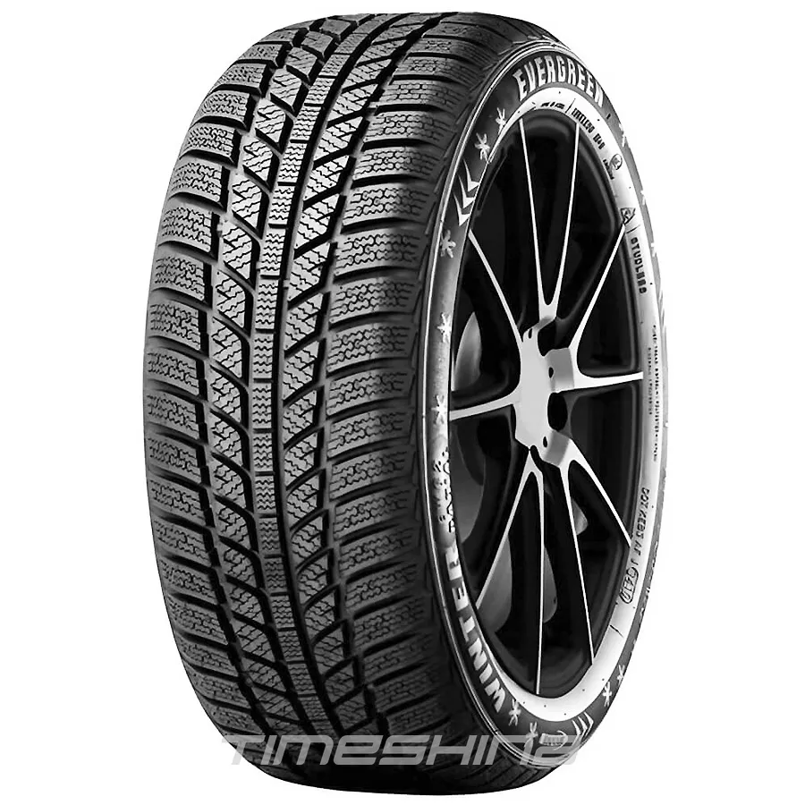 Зимние шины Evergreen EW62