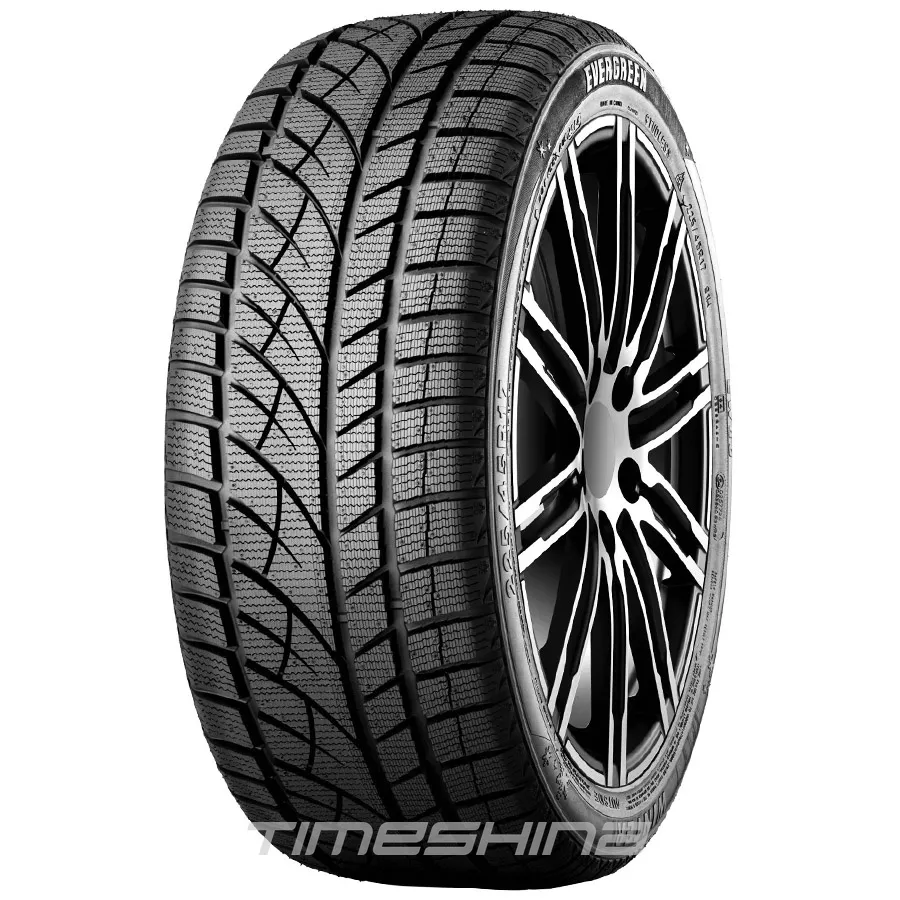 Зимние шины Evergreen EW66