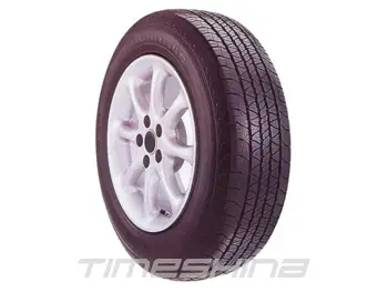 Летние шины General Tire Ameri G4S