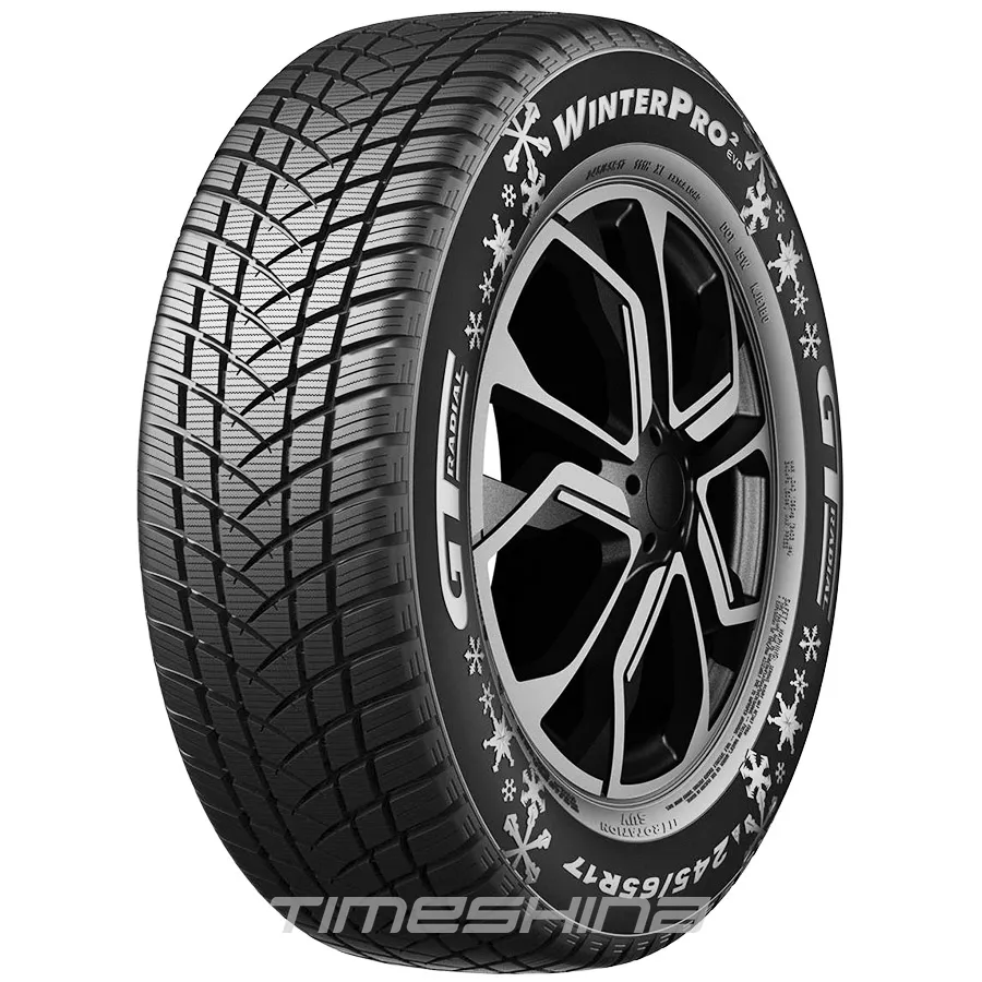 Зимние шины GT Radial WinterPro2 evo