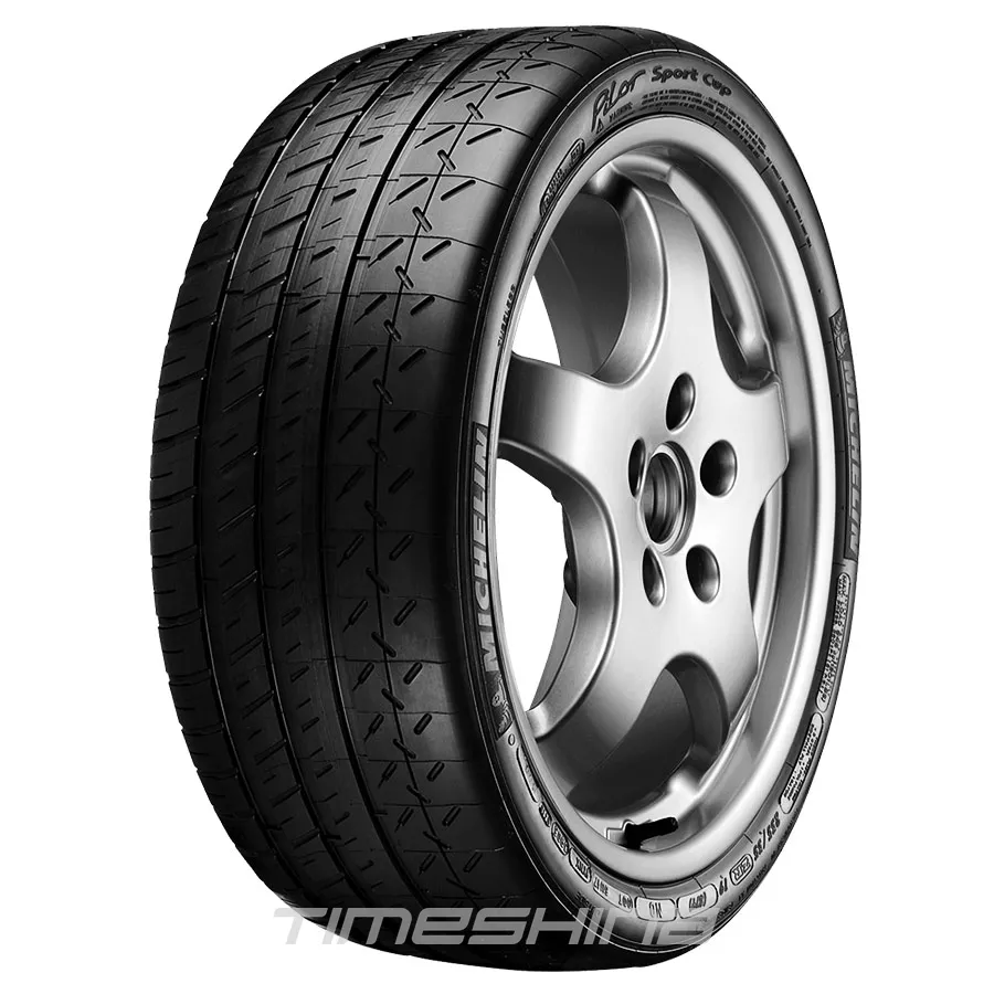 Летние шины Michelin Pilot Sport Cup