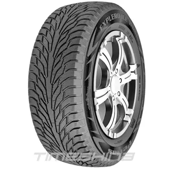Зимние шины Petlas Explero Ice W681