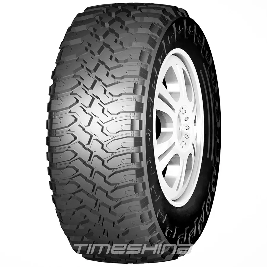 Всесезонные шины Roadshine RS905