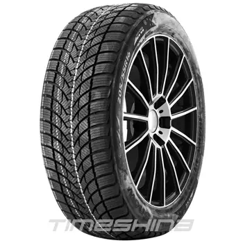 Зимние шины Tercelo Blue Snow 205/55 R16 91V