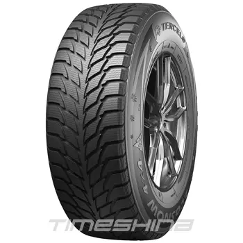Зимние шины Tercelo Ecosnow 4X4 215/70 R16 100T