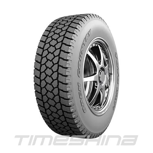 Зимові шини Toyo Open Country WLT1