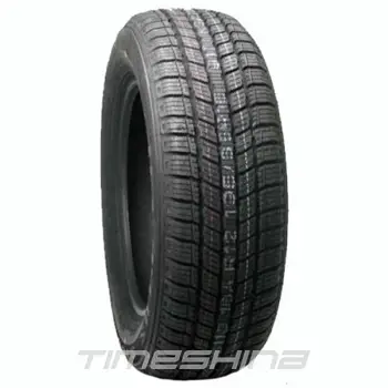 Зимові шини Tracmax Ice-Plus S100